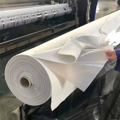復合土工膜 現(xiàn)代工程中的多功能防護屏障